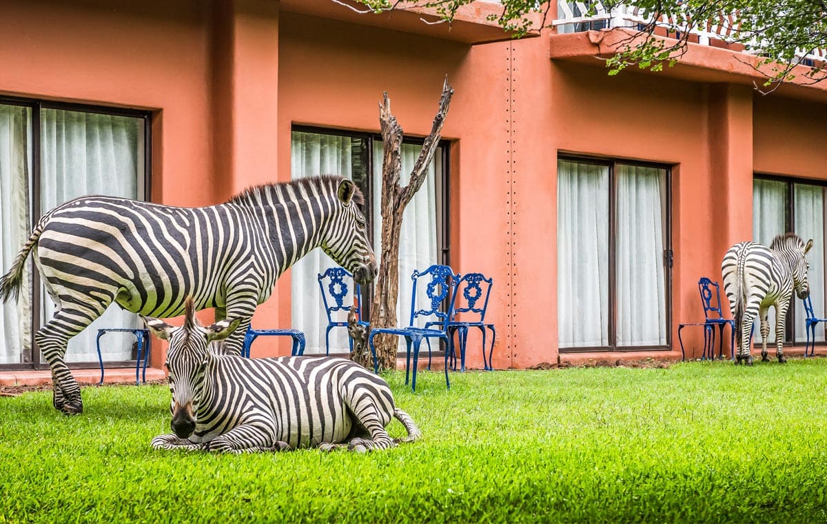 Avani Resort View